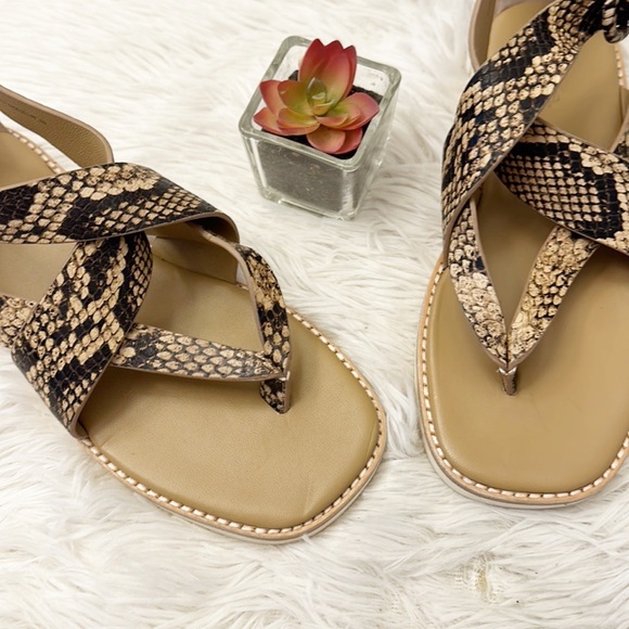 NEW VINCE Morris Snake print gladiator cross cross sandals shoes women size 6 - Picture 4 of 6